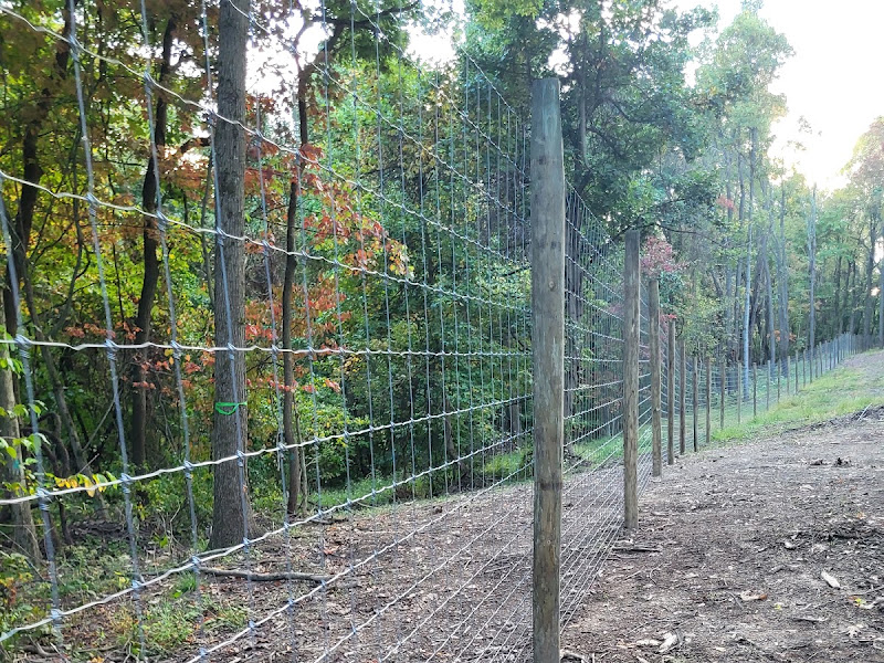 Completed woven wire fence line running through wooded property