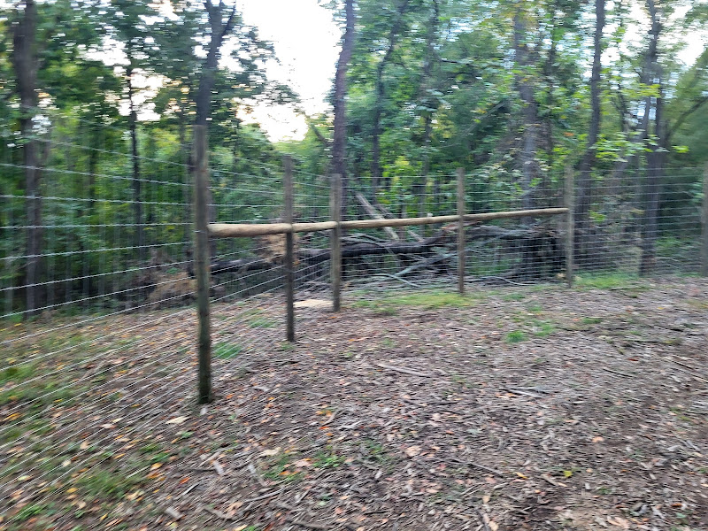 Wire fence corner detail on a wooded property line
